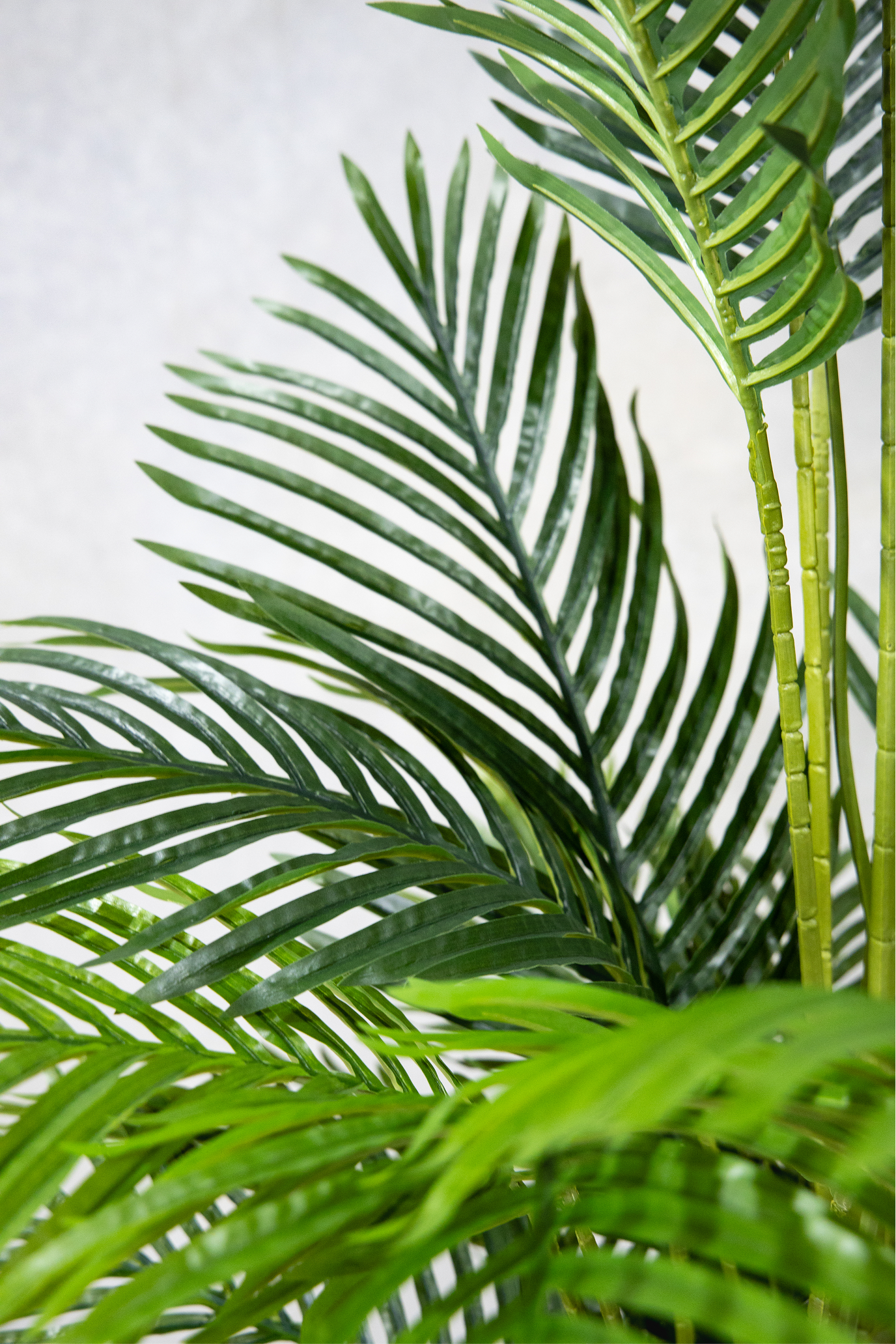 170cm Potted Artificial Palm Tree