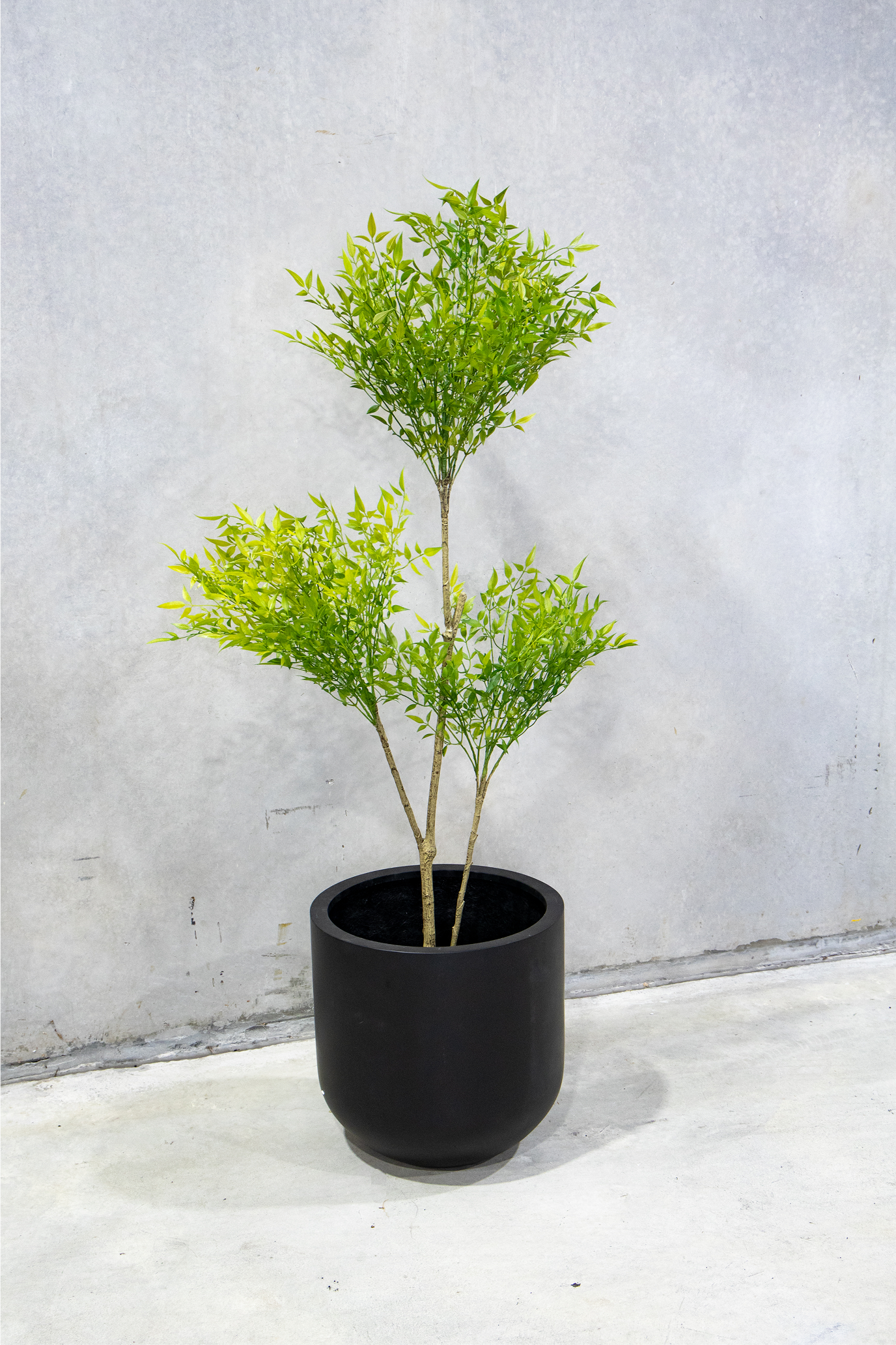 160cm Potted Artificial Nandina