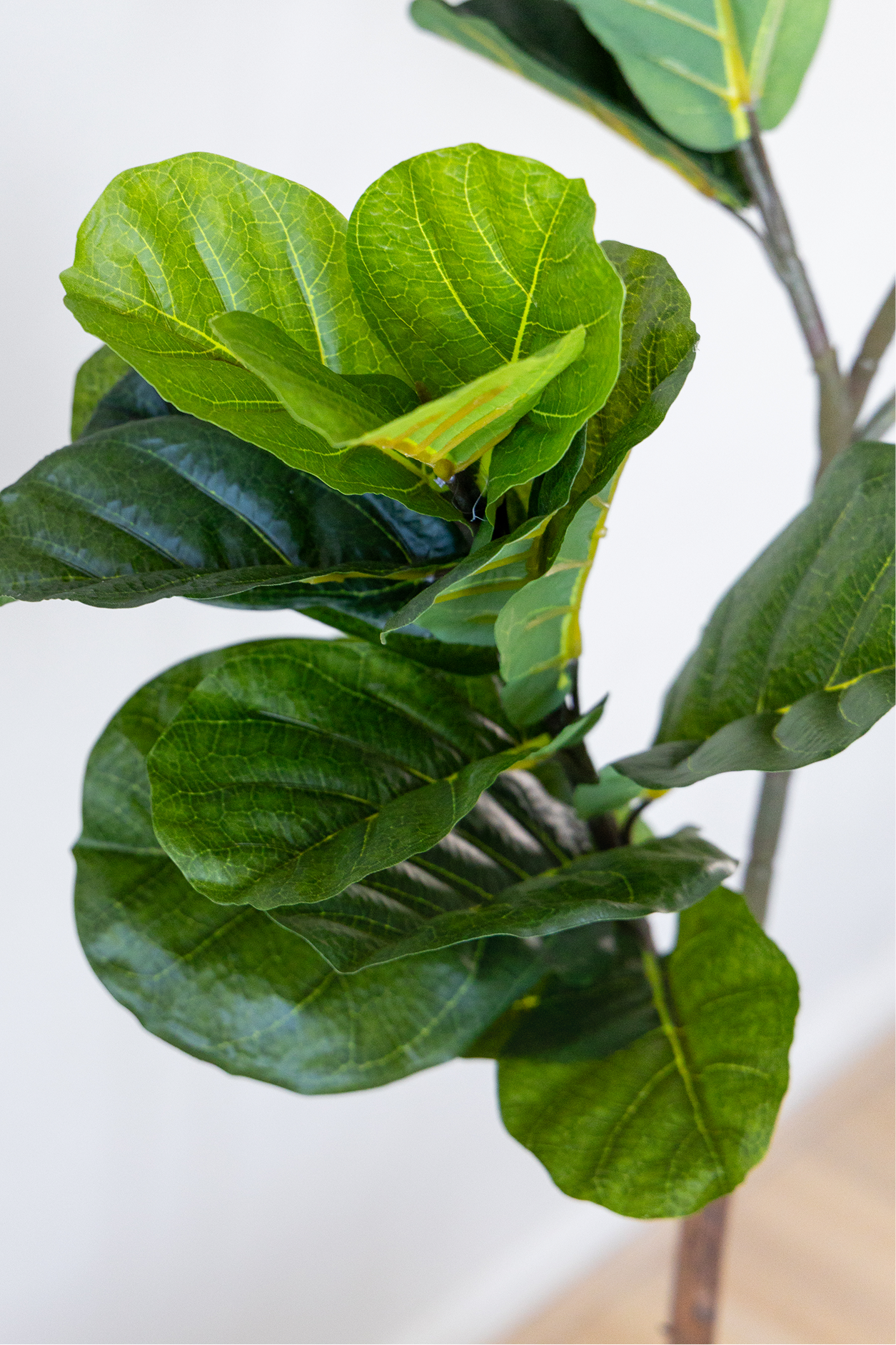Potted Artificial Fiddle Leaf