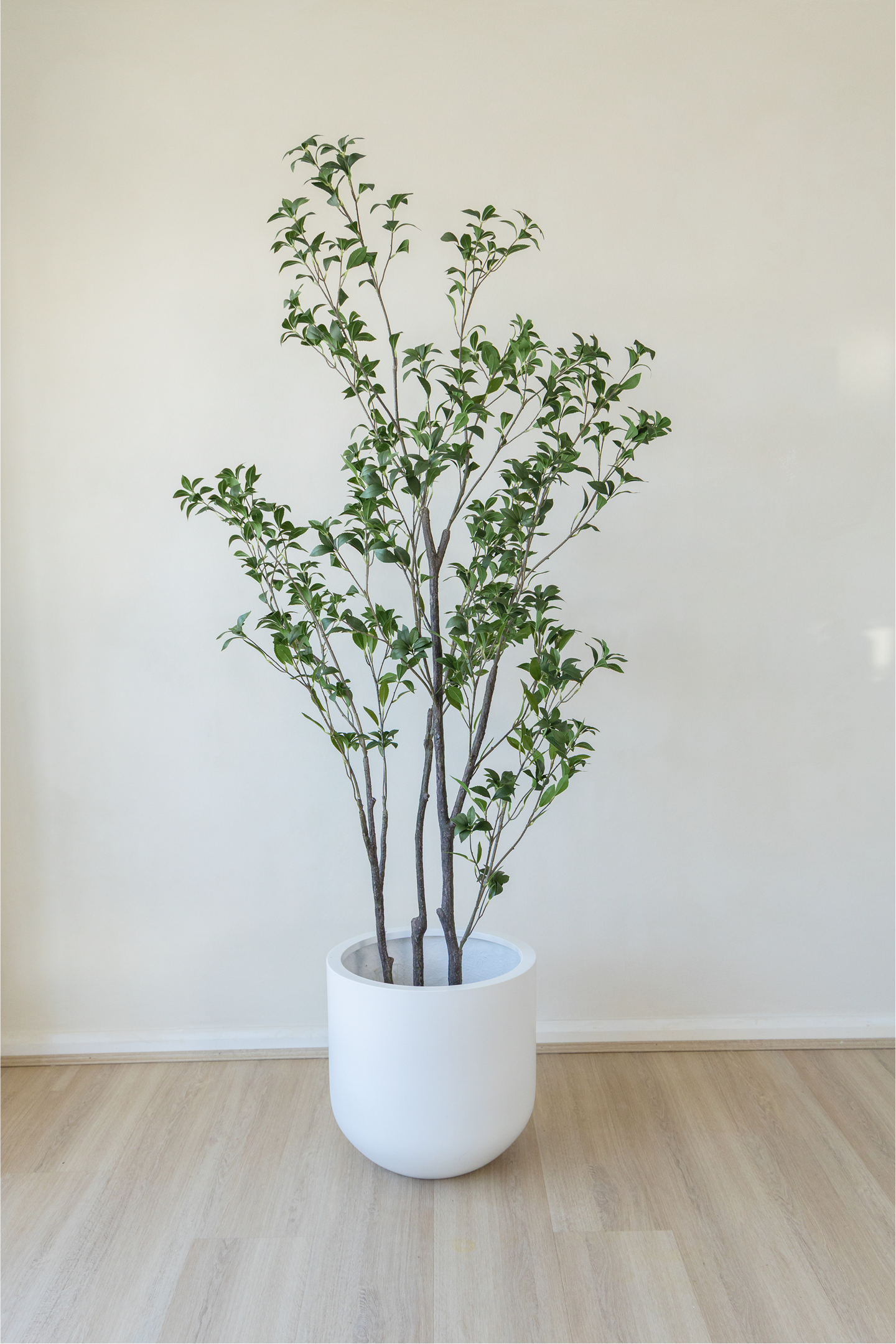210cm Potted Artificial Japanese Plant