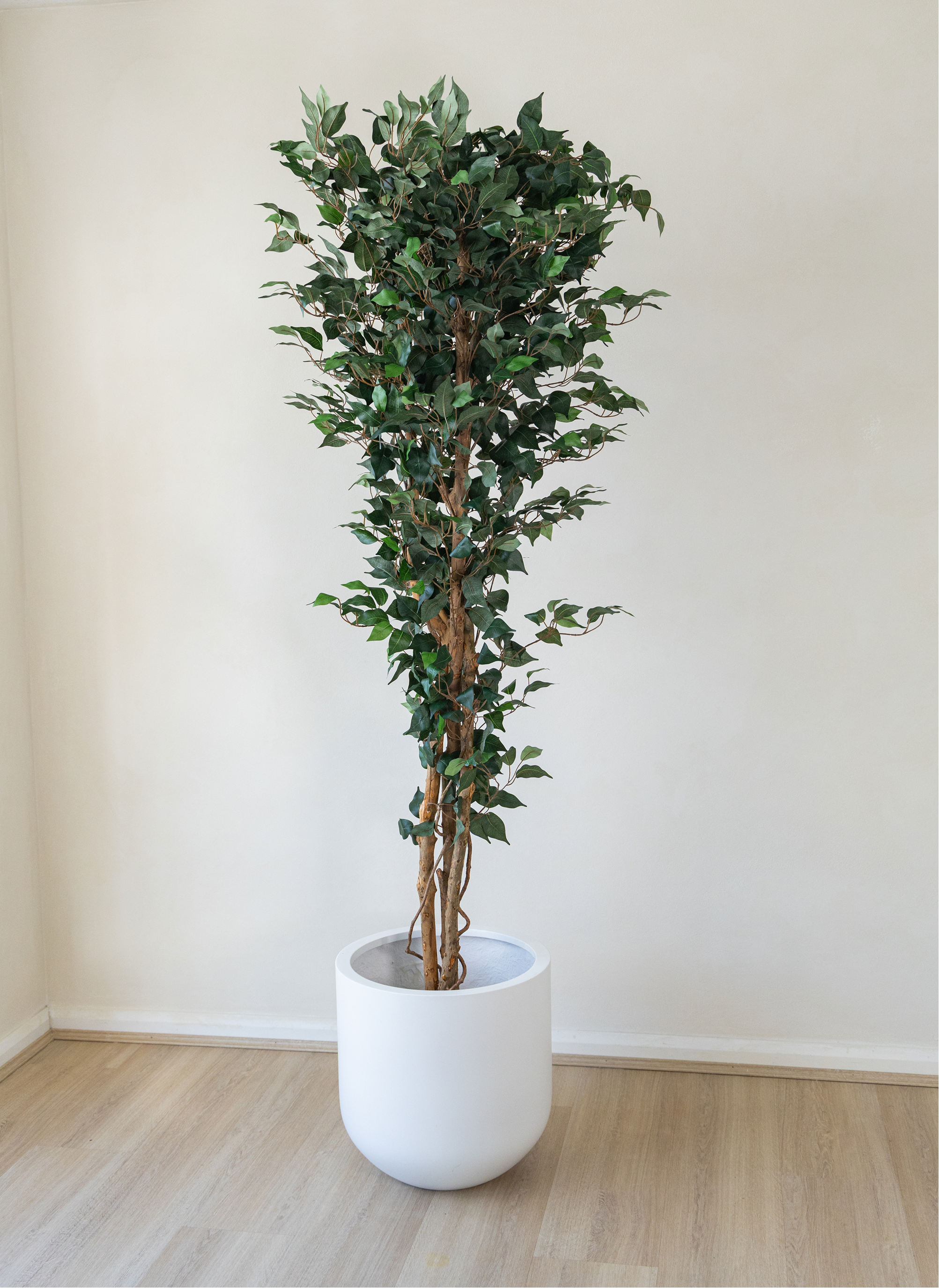 210cm Potted Artificial Ficus Tree