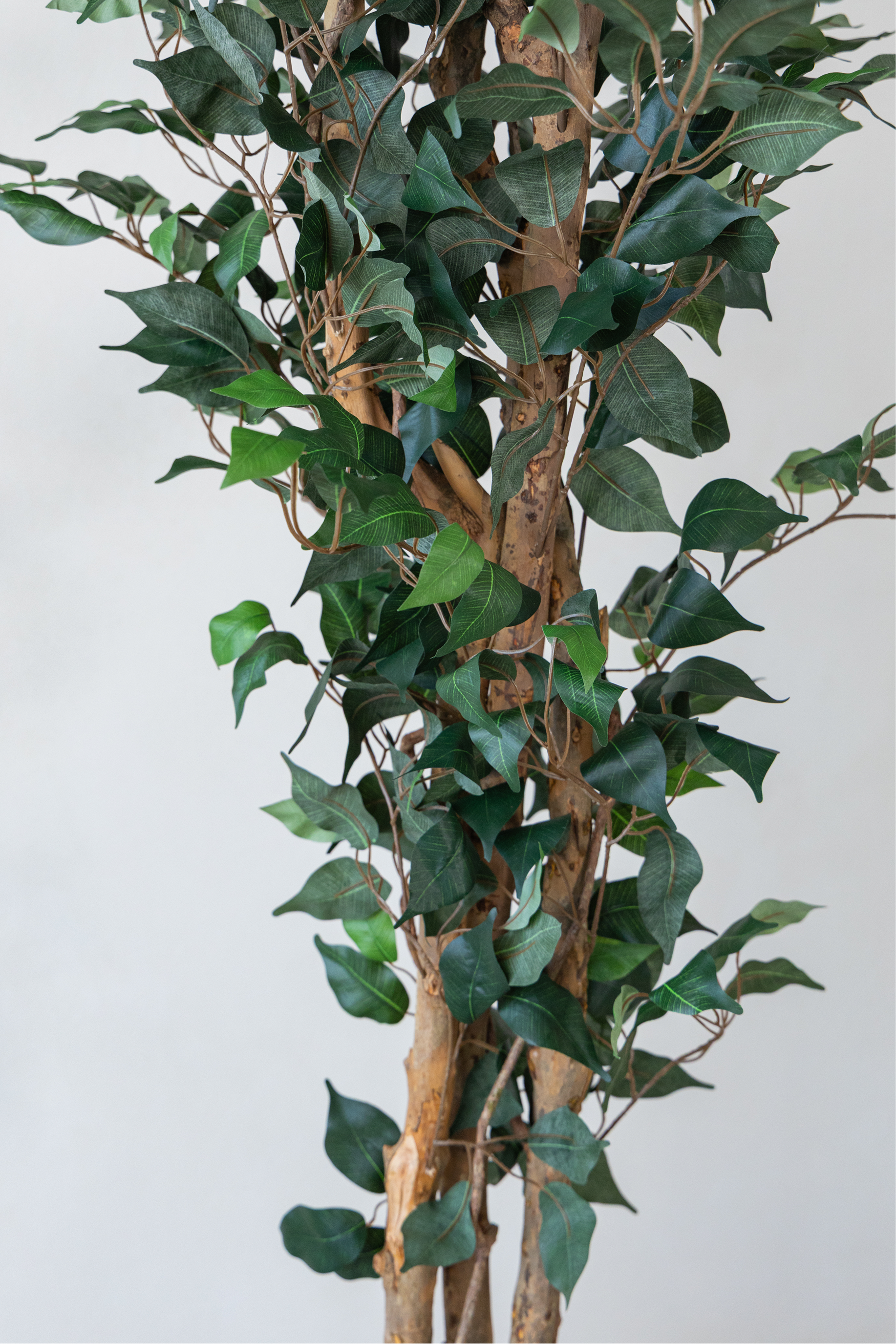 210cm Potted Artificial Ficus Tree