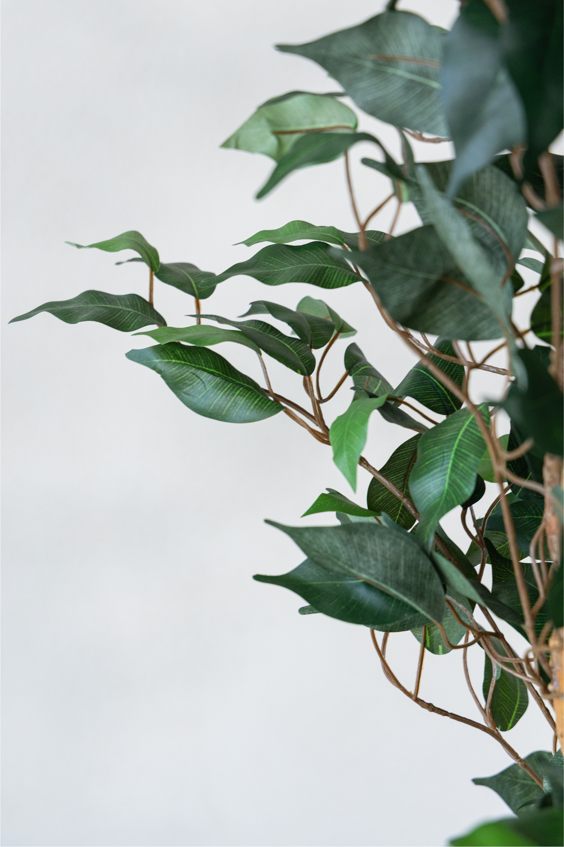 210cm Potted Artificial Ficus Tree