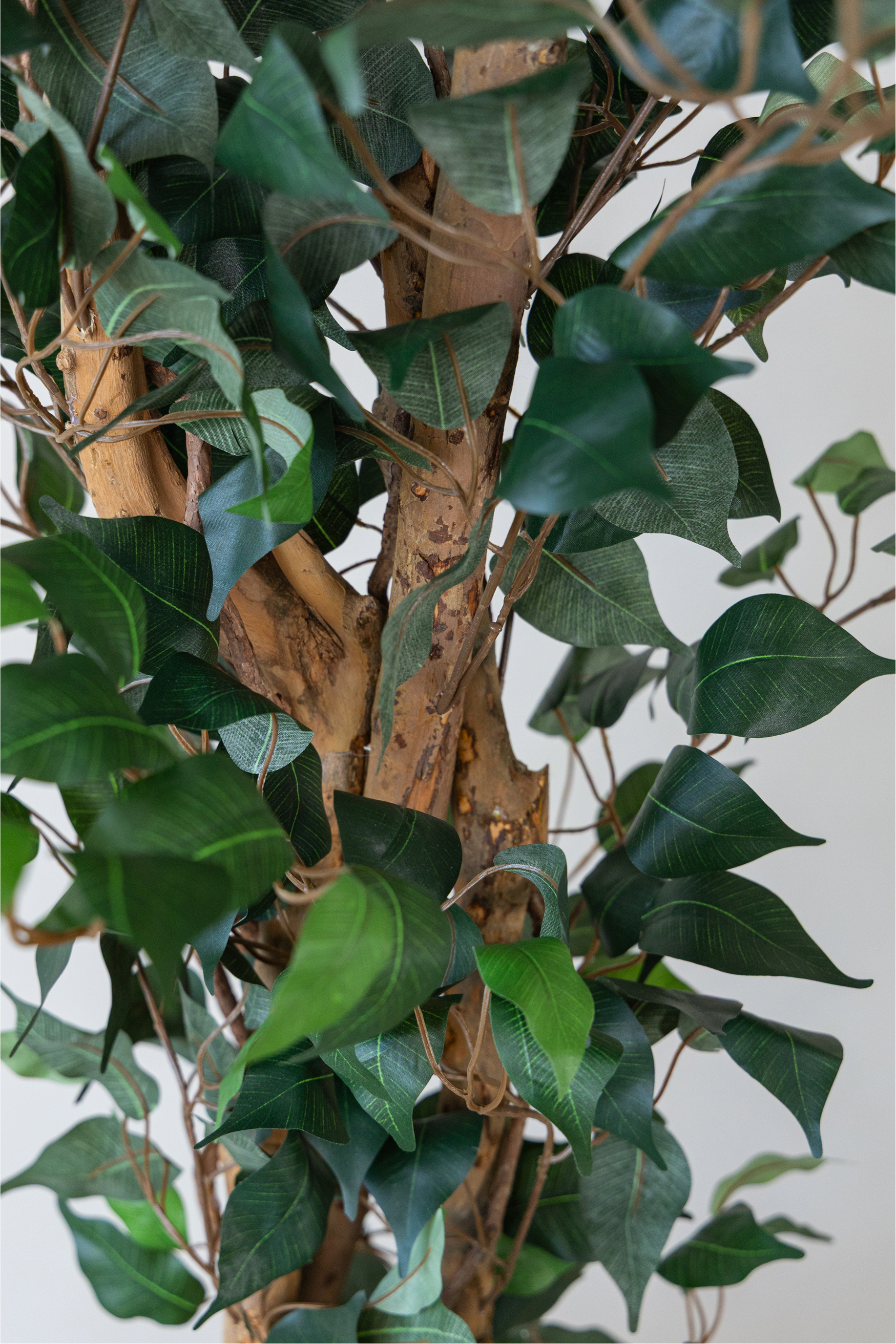 210cm Potted Artificial Ficus Tree