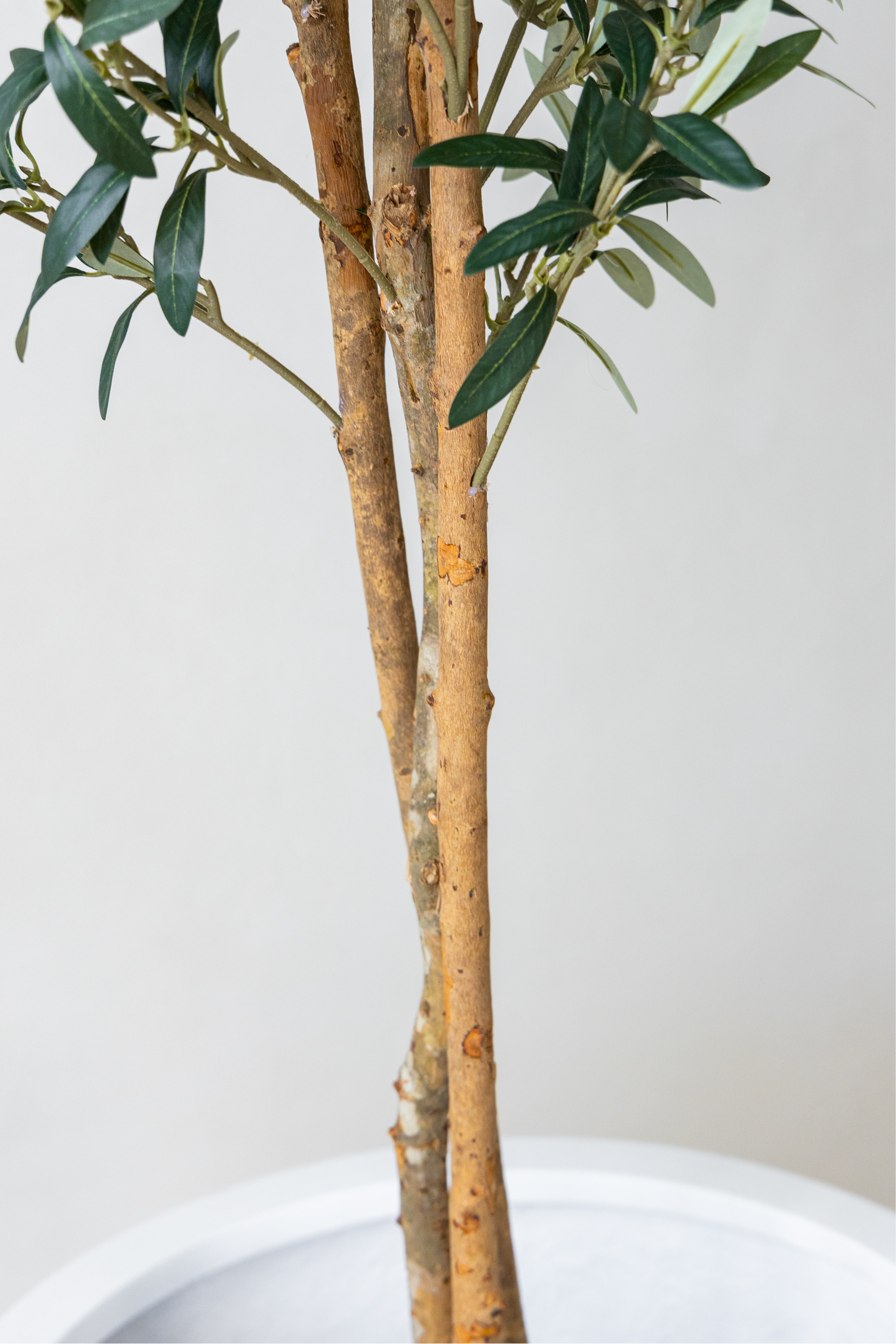 180cm Potted Artificial Olive Tree