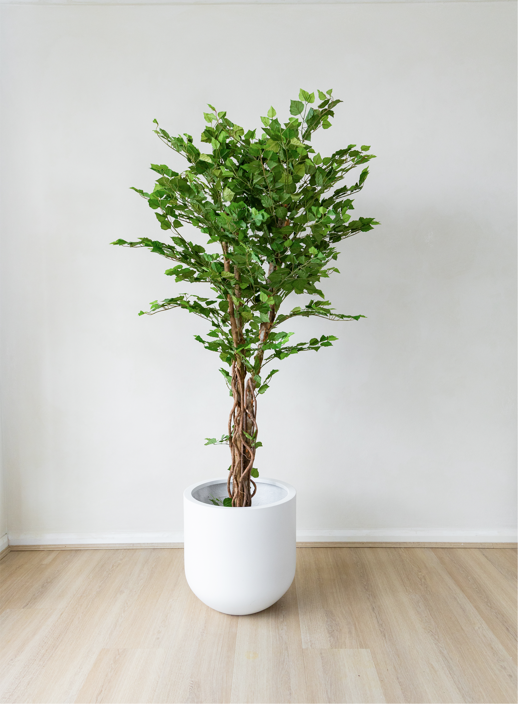 170cm Potted Artificial Birch Tree