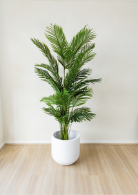 210cm Potted Artificial Palm Tree