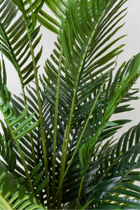 210cm Potted Artificial Palm Tree