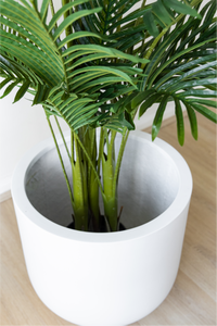 210cm Potted Artificial Palm Tree