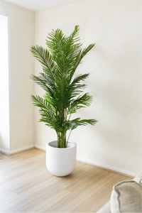 210cm Potted Artificial Palm Tree