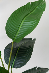 180cm Potted Artificial Strelitzia Nicolai