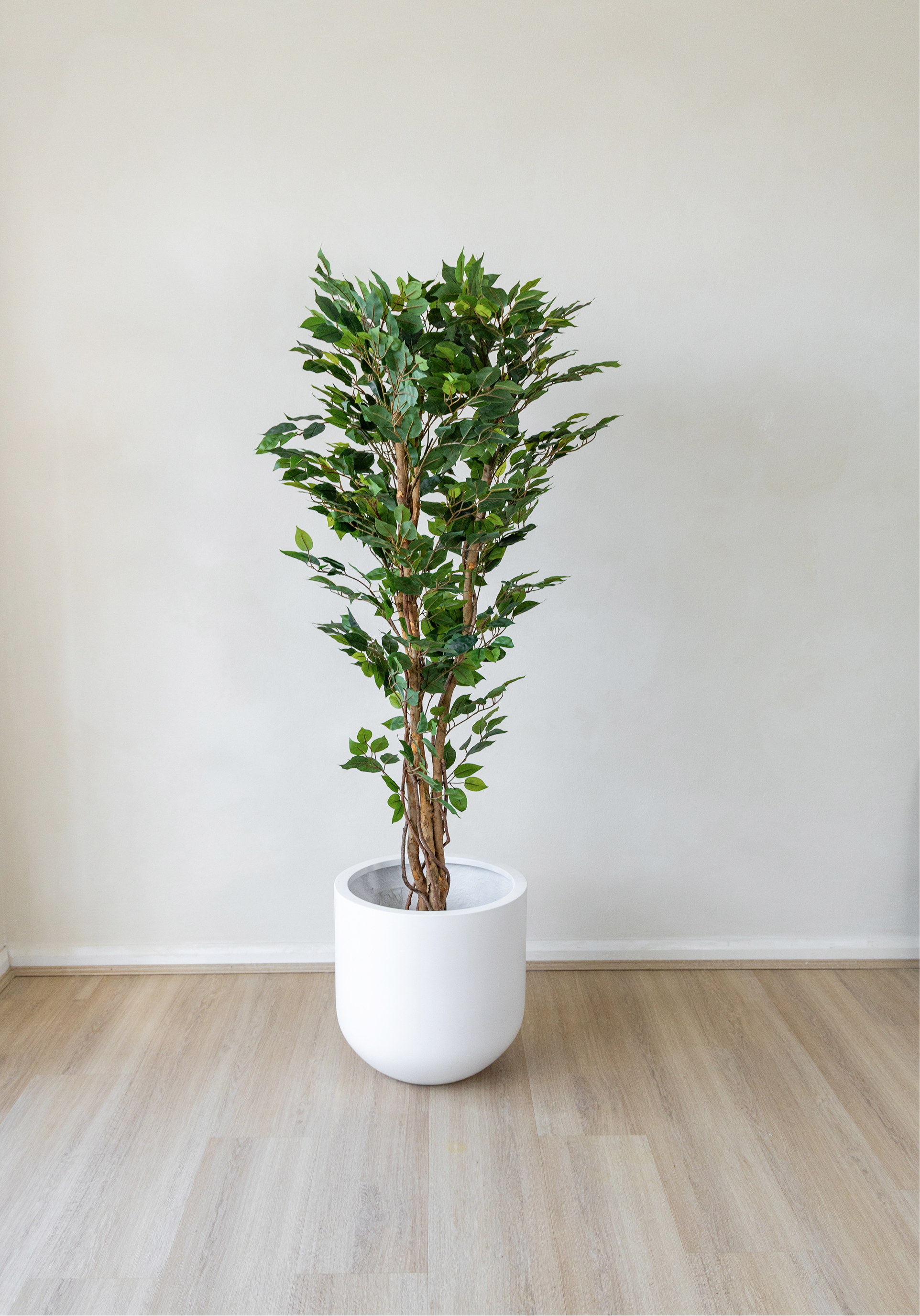 150cm Potted Artificial Ficus Tree