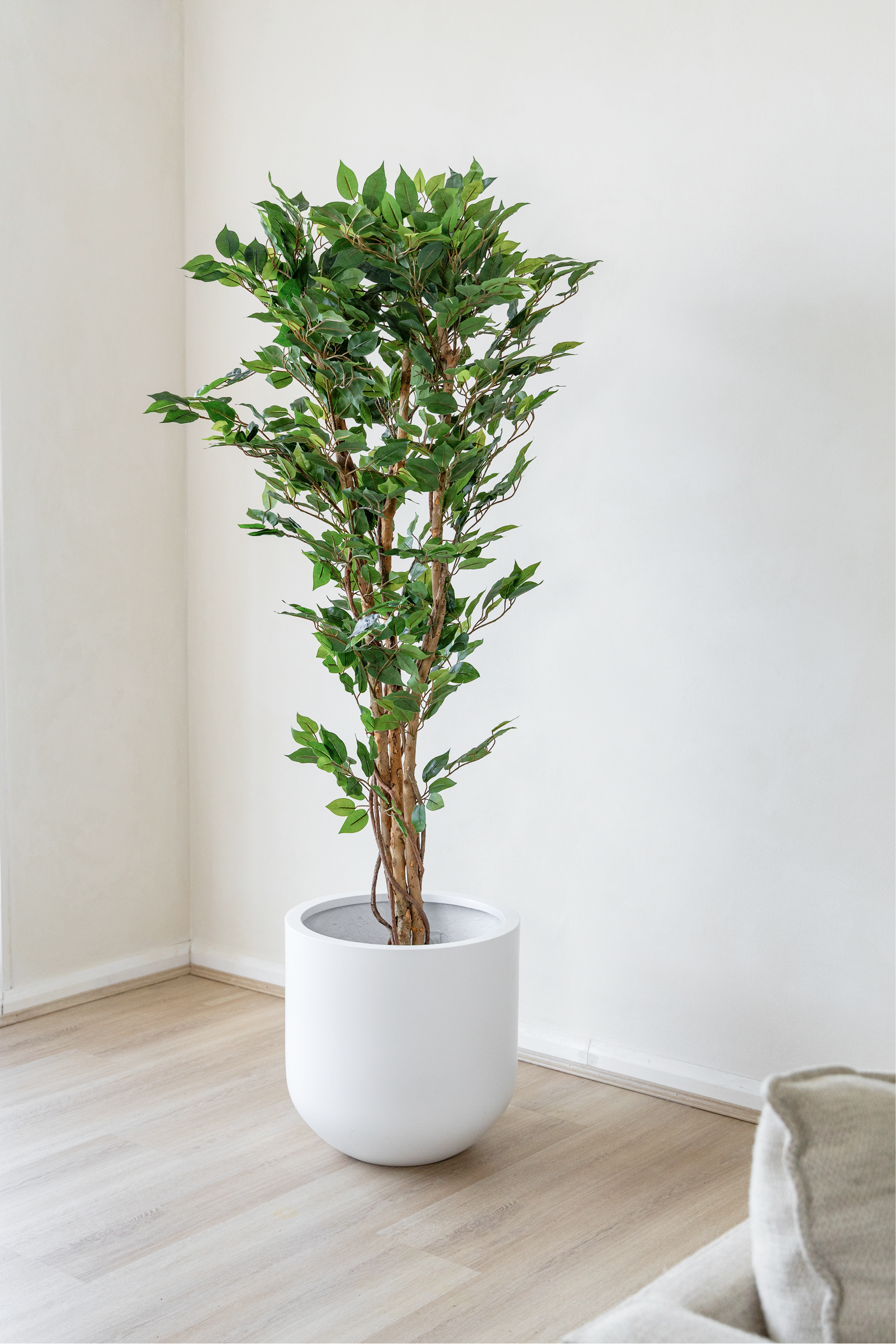 150cm Potted Artificial Ficus Tree
