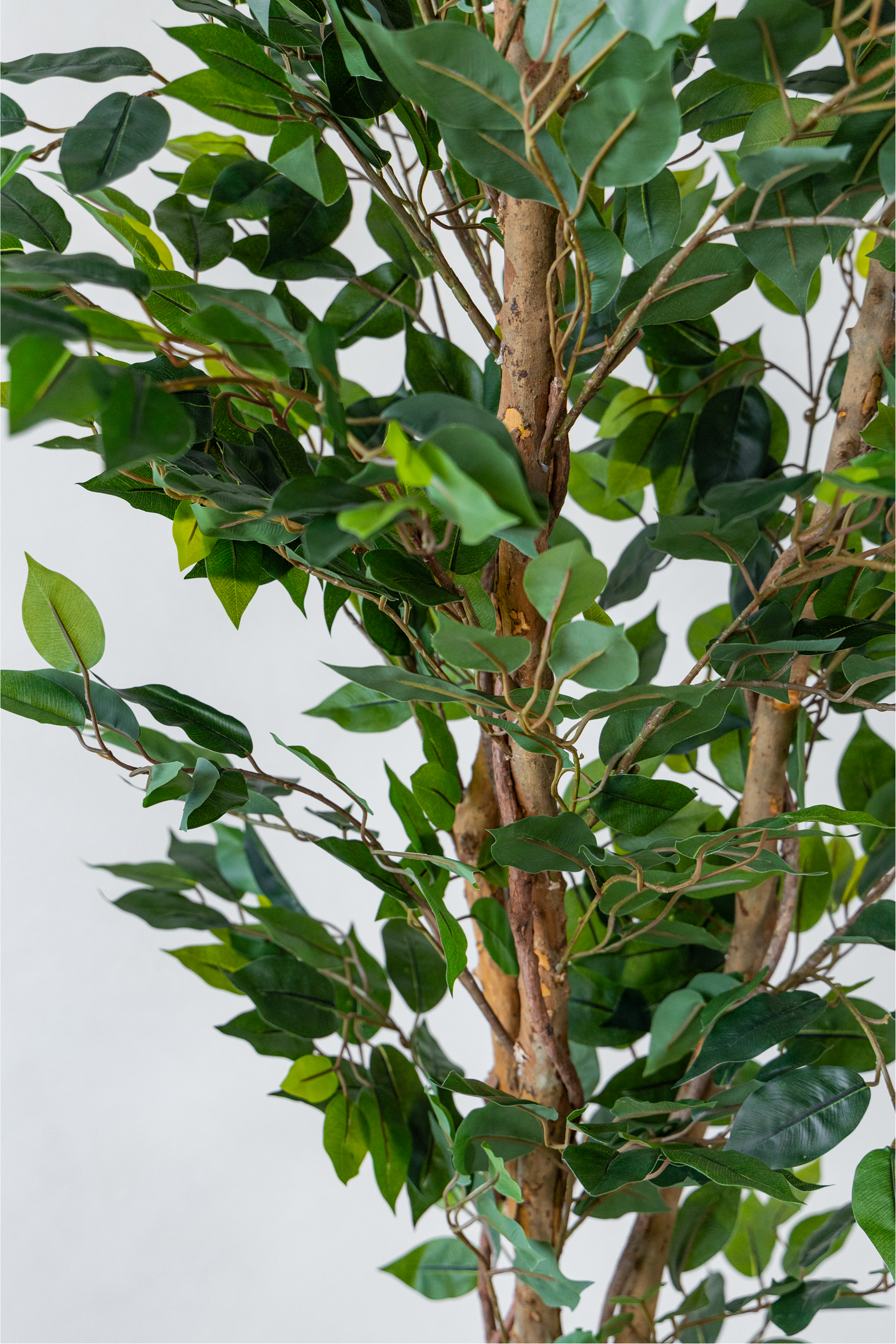 150cm Potted Artificial Ficus Tree