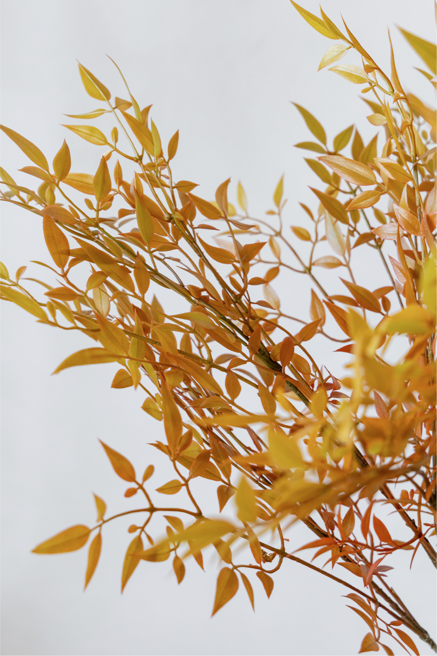 160cm Potted Artificial Nandina