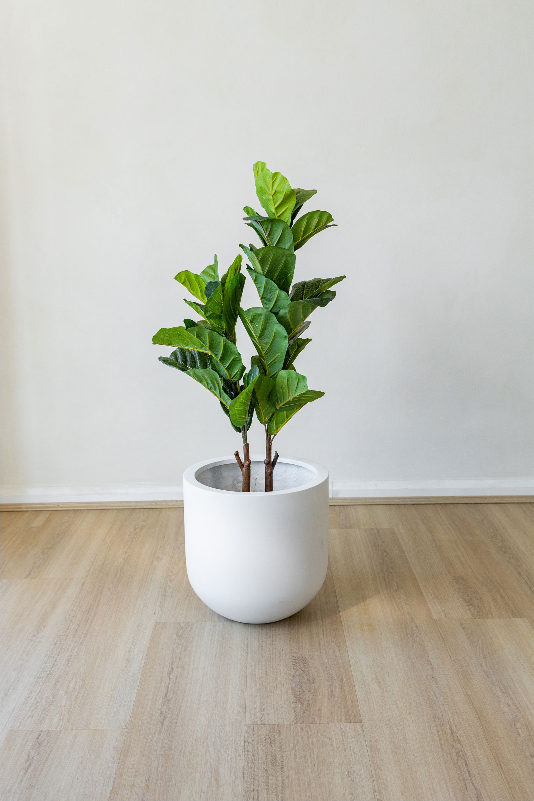90cm Potted Artificial Fiddle Leaf