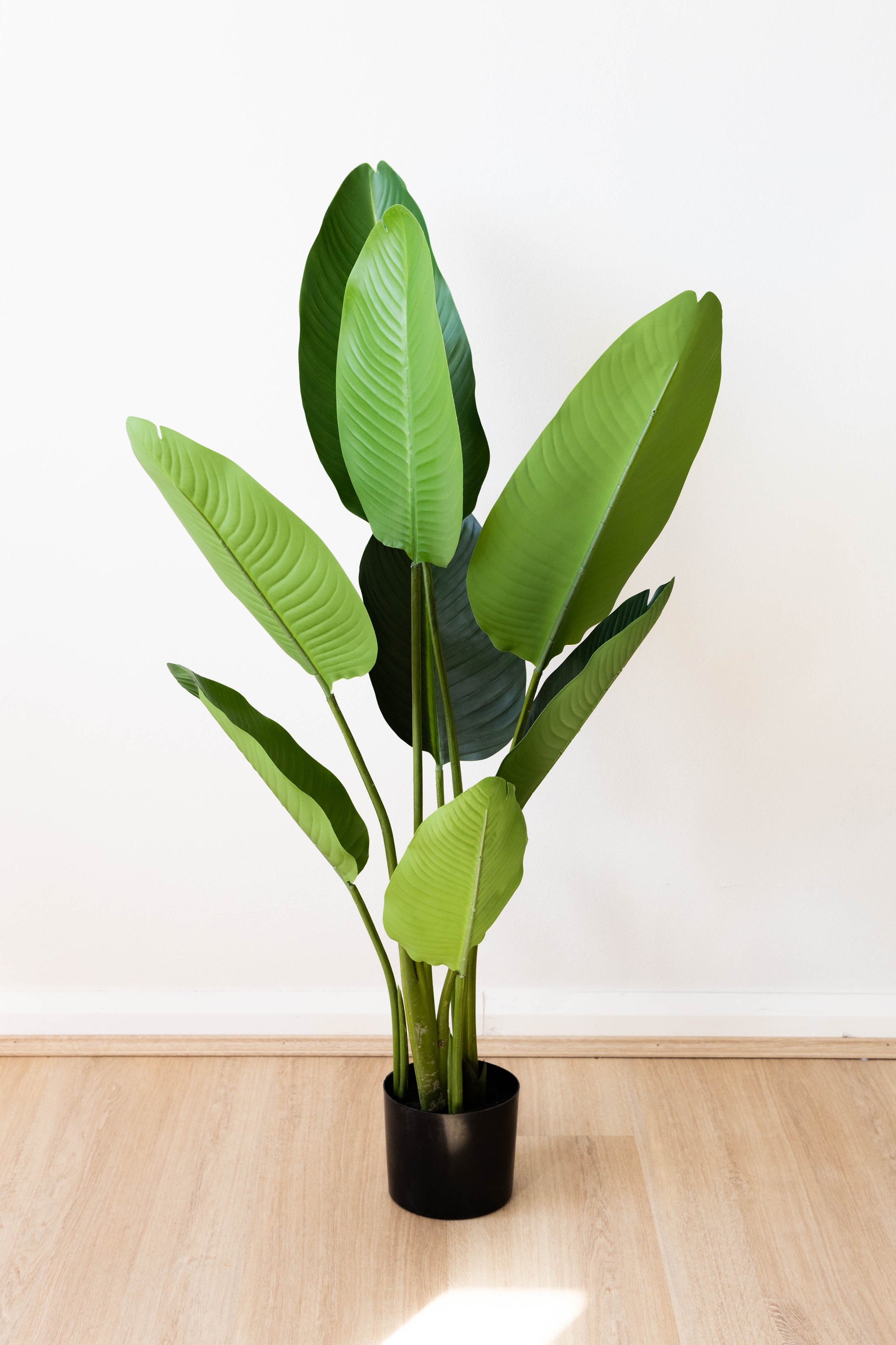 110cm Artificial Strelitzia Nicolai