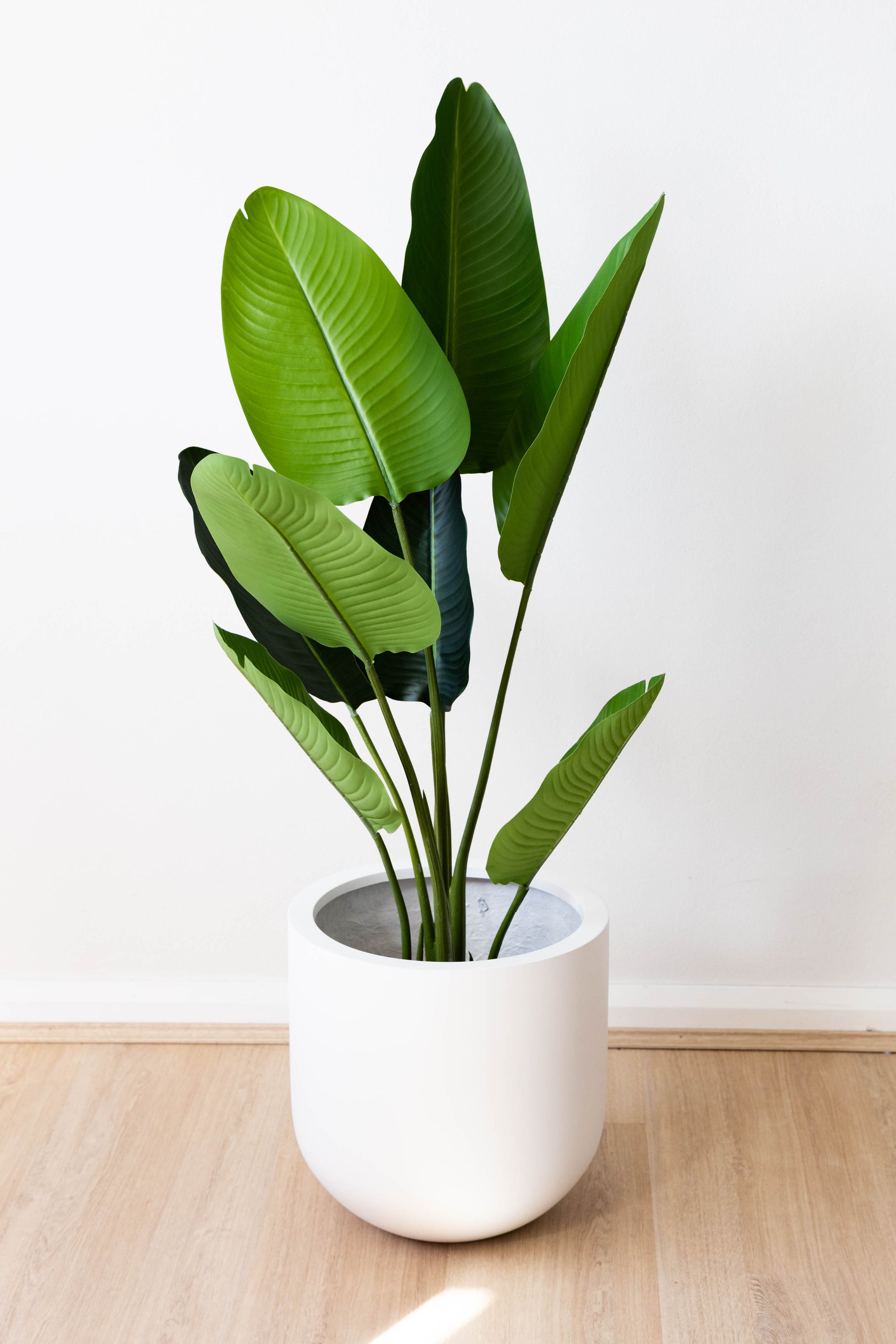 110cm Artificial Strelitzia Nicolai