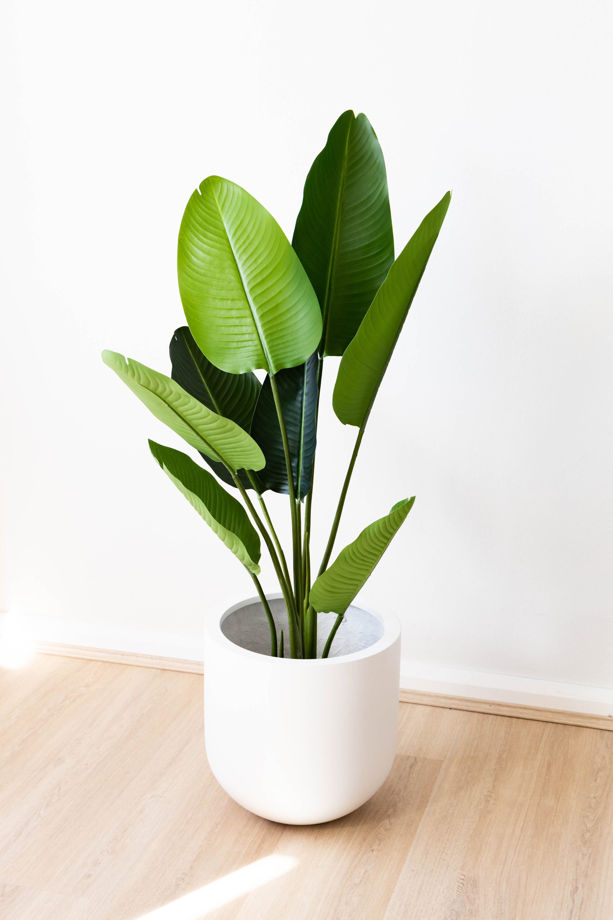 110cm Artificial Strelitzia Nicolai