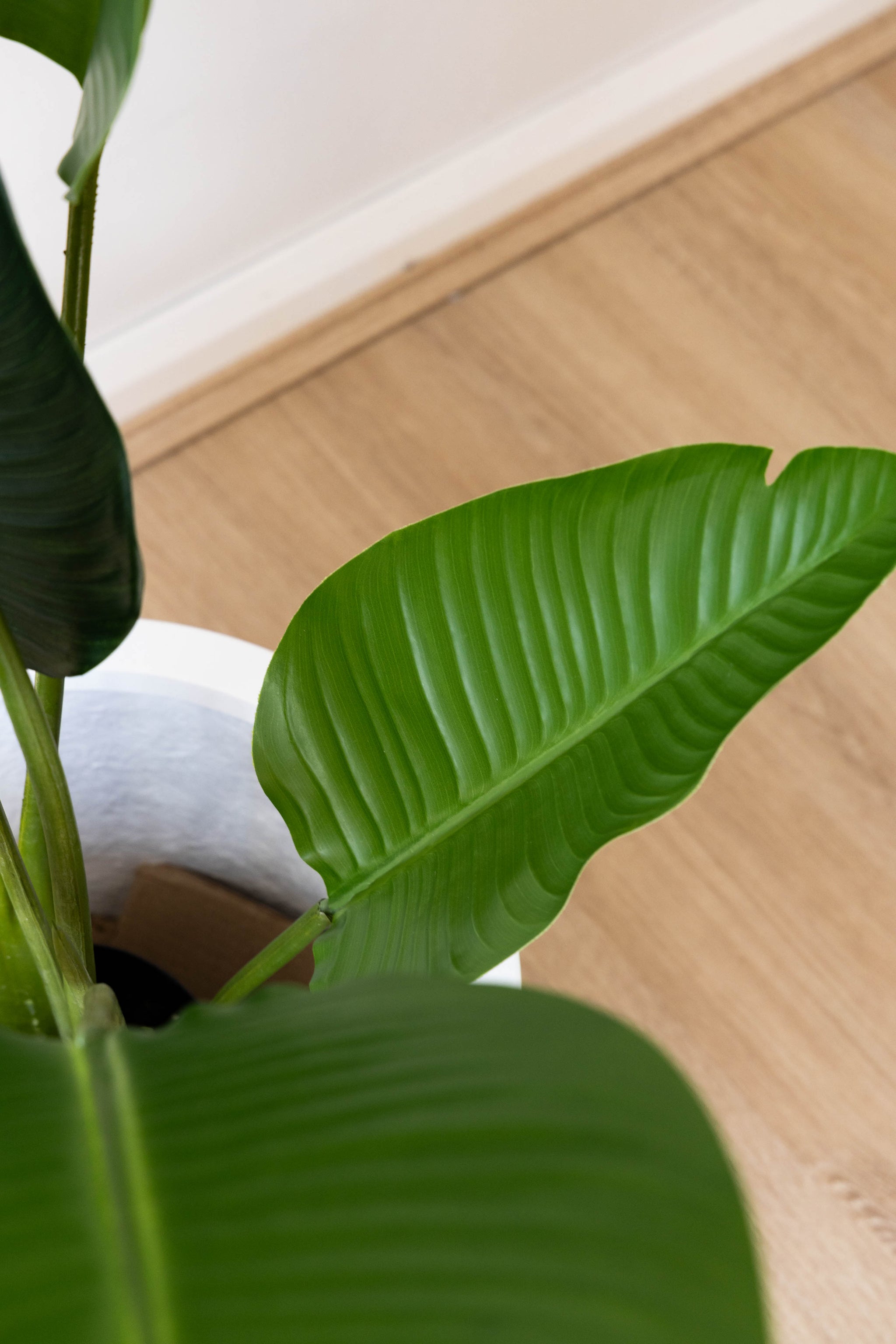 110cm Artificial Strelitzia Nicolai