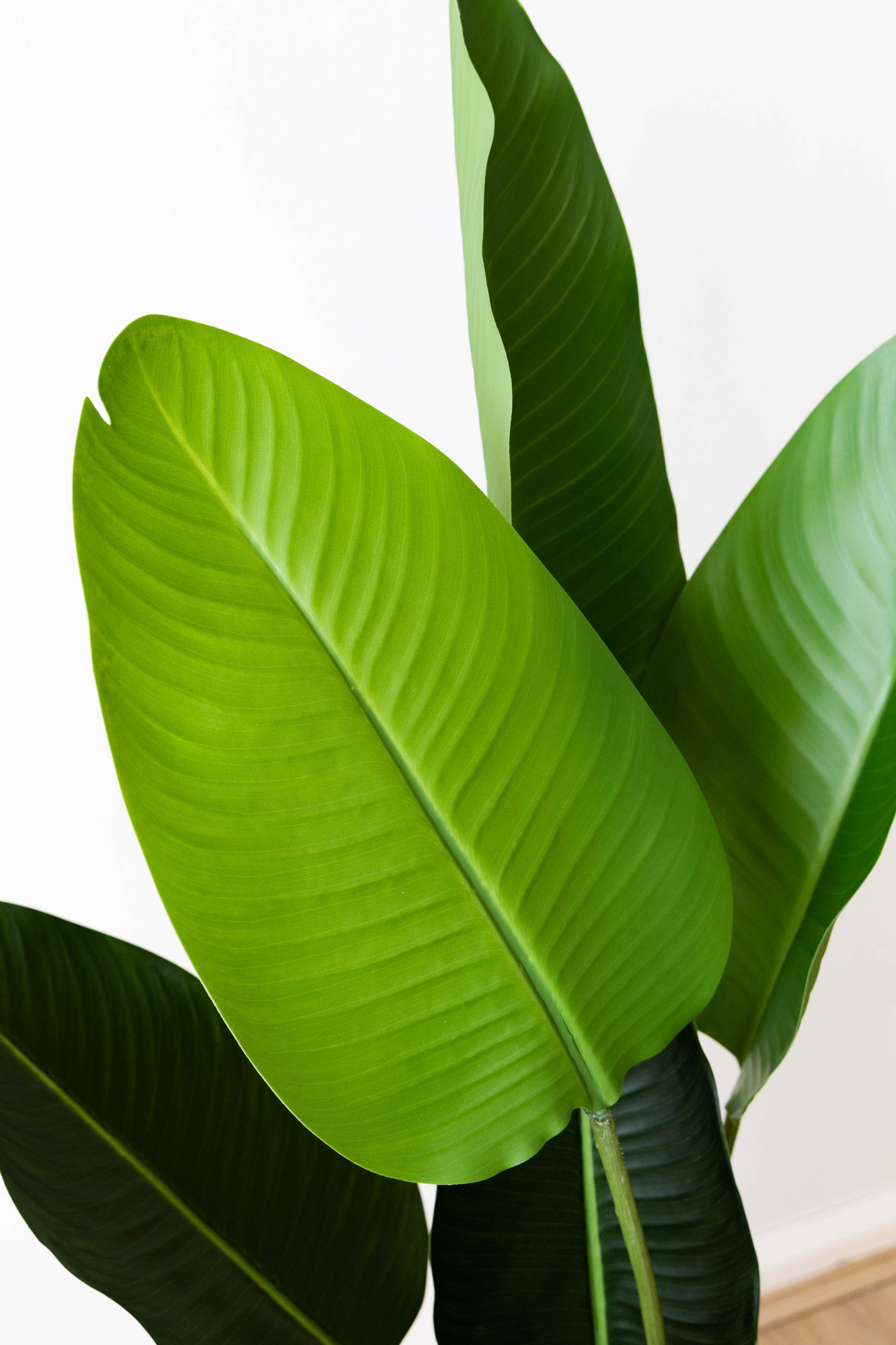 110cm Artificial Strelitzia Nicolai