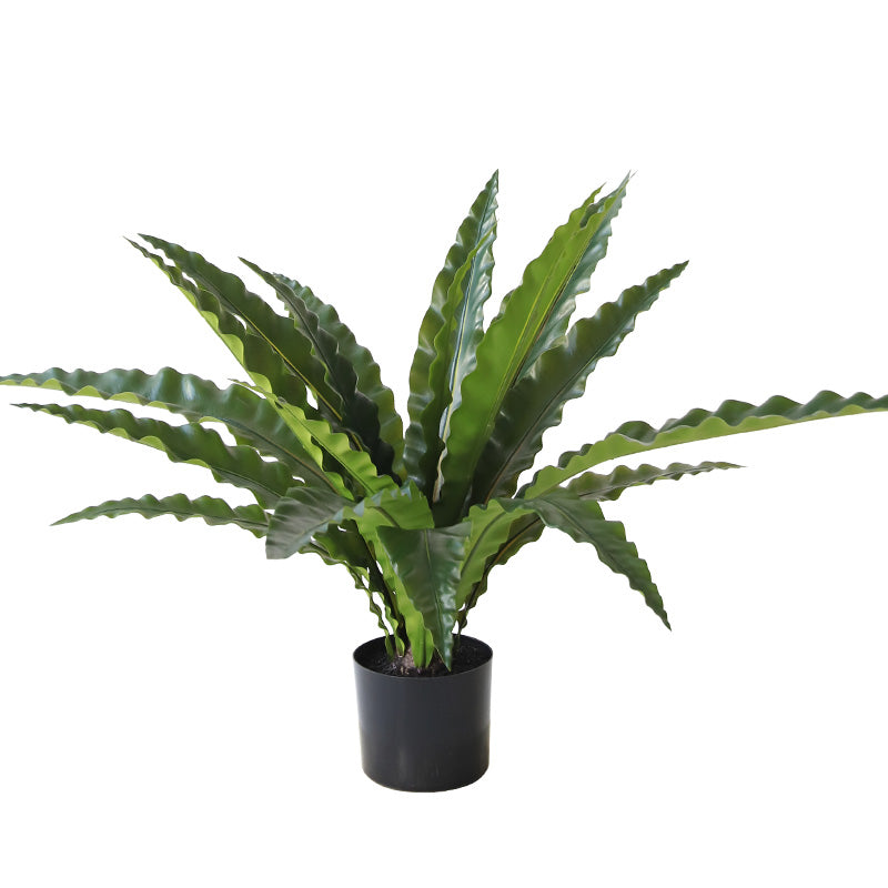 75cm Artificial Birds Nest Fern