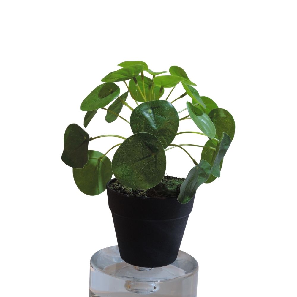 20cm Artificial Chinese Money Plant
