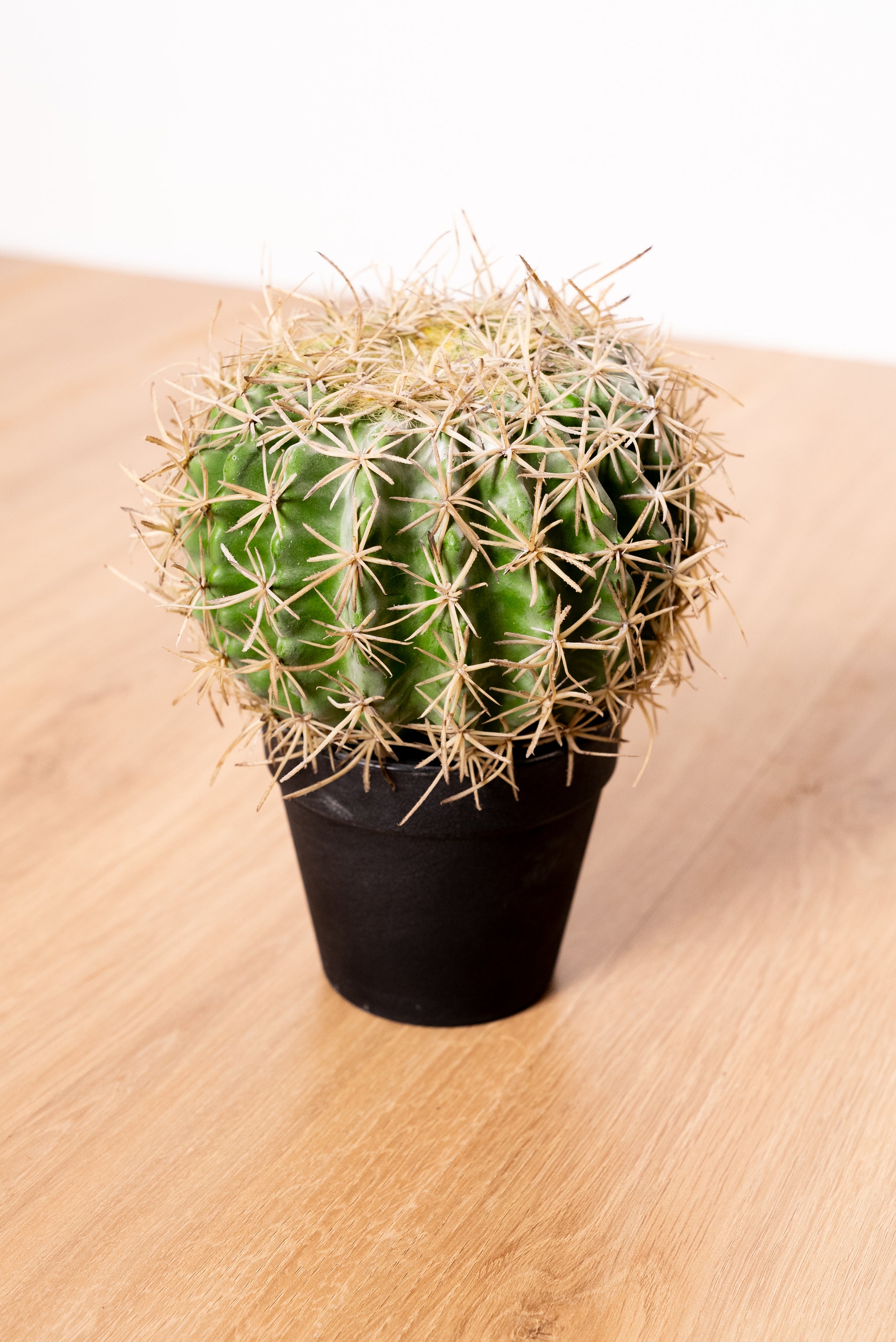 Small artificial cactus