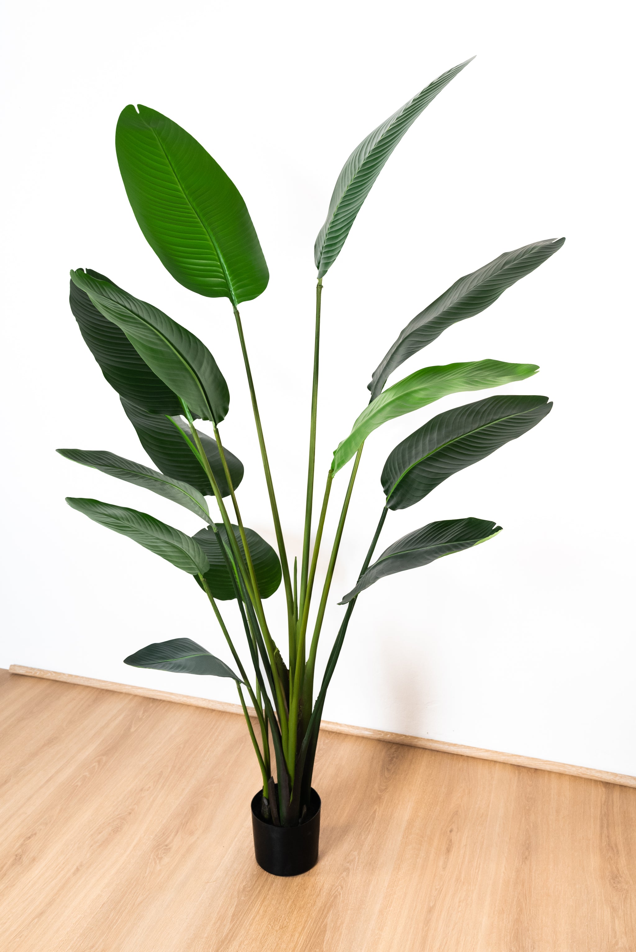182cm Artificial Strelitzia Nicolai