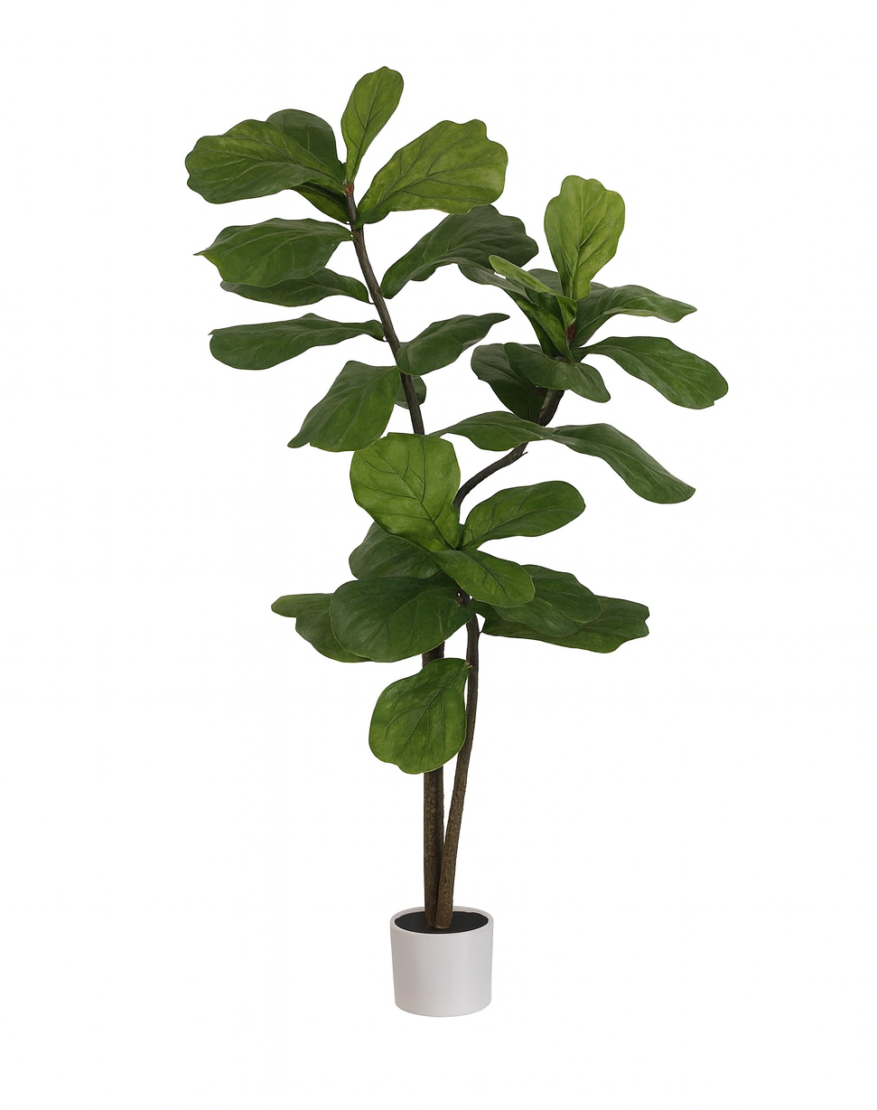 150cm Artificial Fiddle Leaf Plant