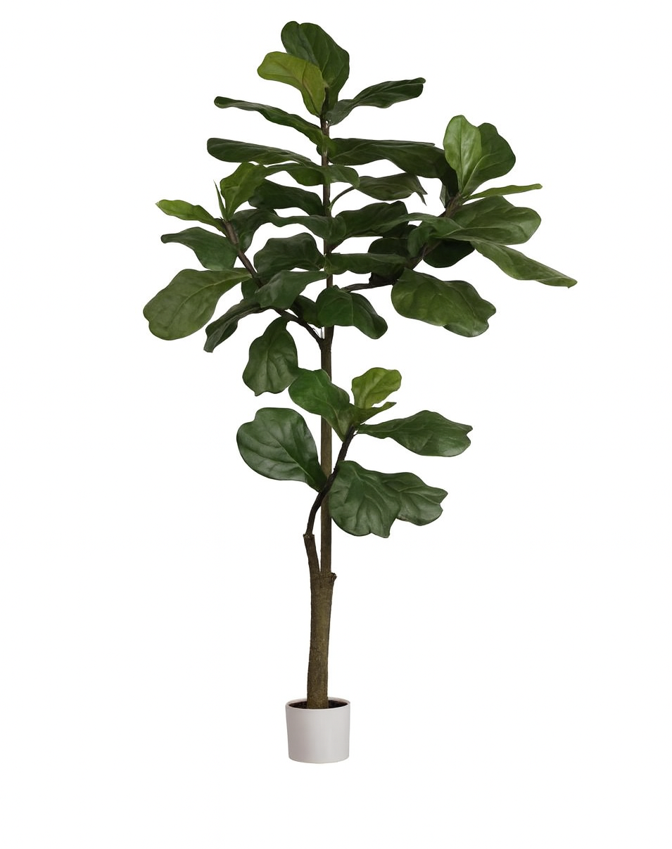 180cm Artificial Fiddle Leaf Plant
