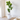 Potted Artificial Fiddle Leaf Duo