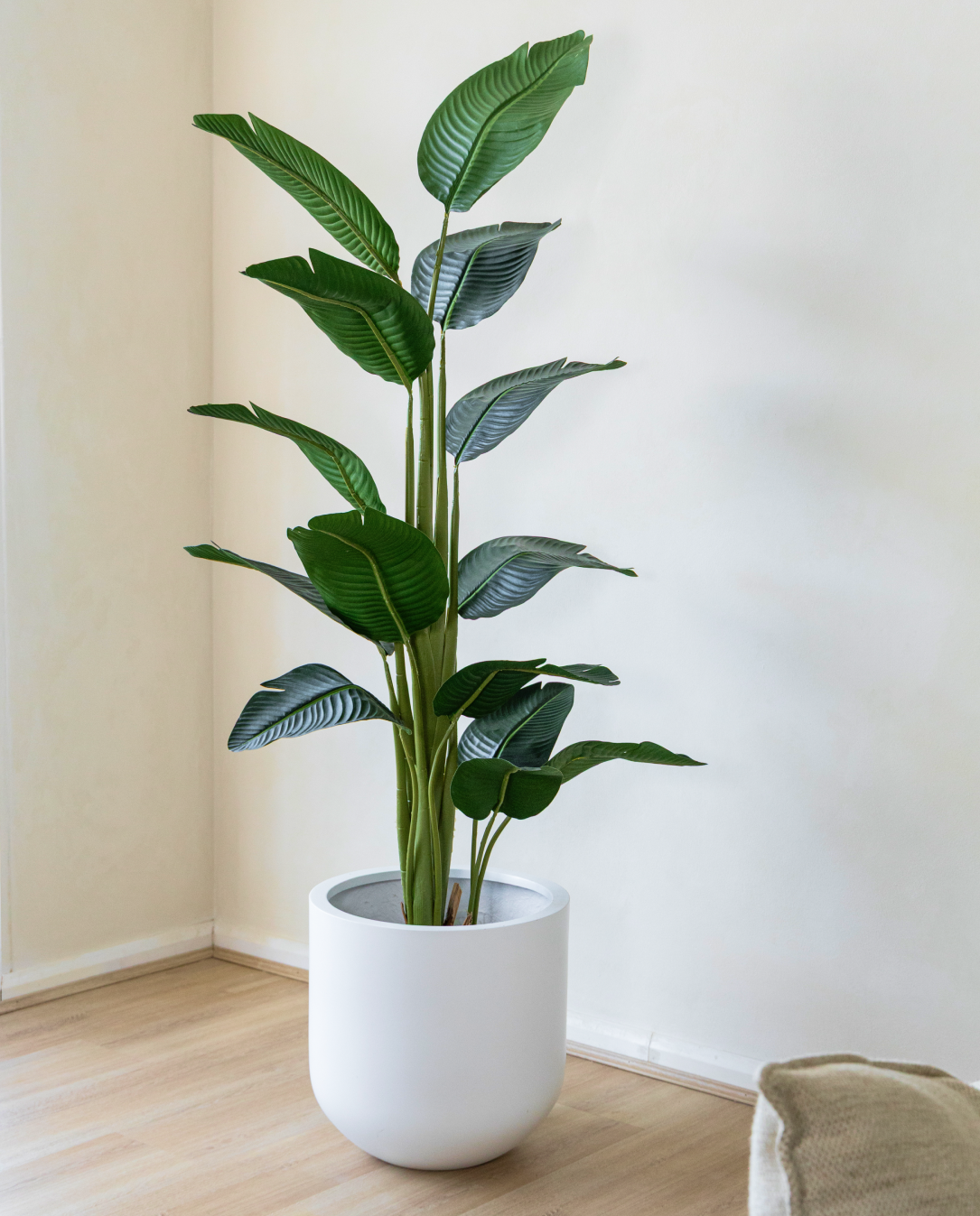 180cm Potted Artificial Strelitzia Nicolai