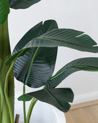 180cm Potted Artificial Strelitzia Nicolai