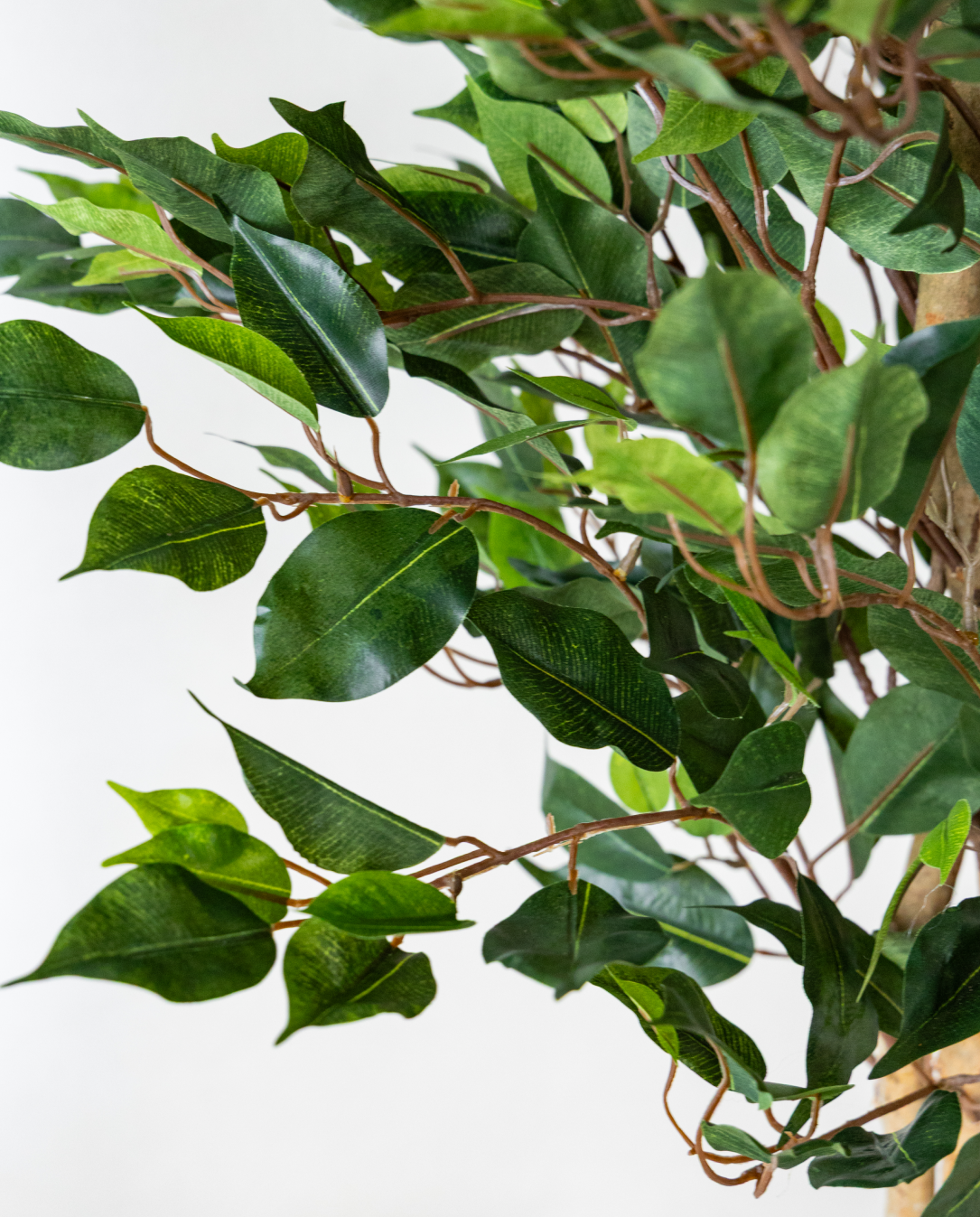 180cm Potted Artificial Ficus Tree