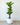 165cm Potted Artificial Palm Tree