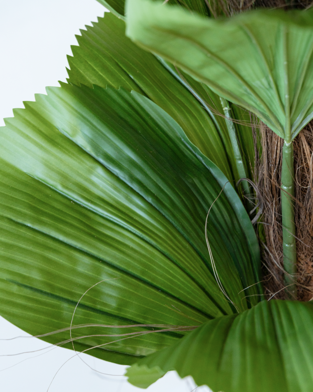 165cm Potted Artificial Palm Tree