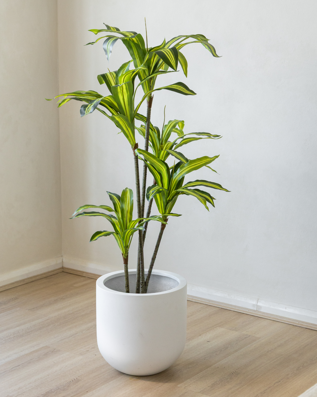 140cm Potted Artificial Dracaena