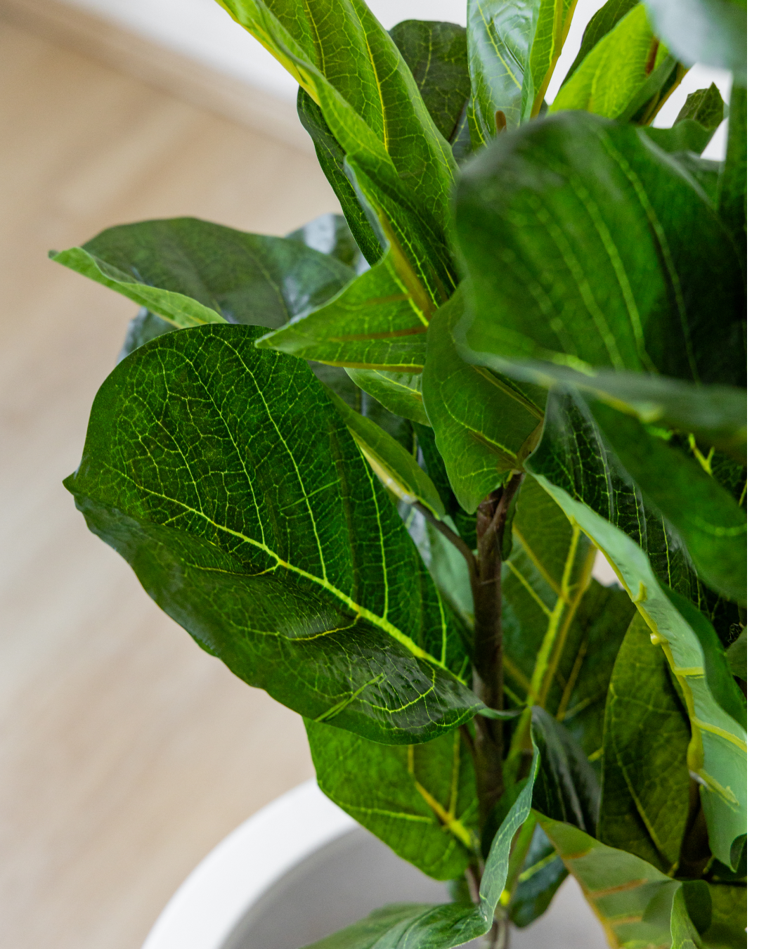90cm Potted Artificial Fiddle Leaf