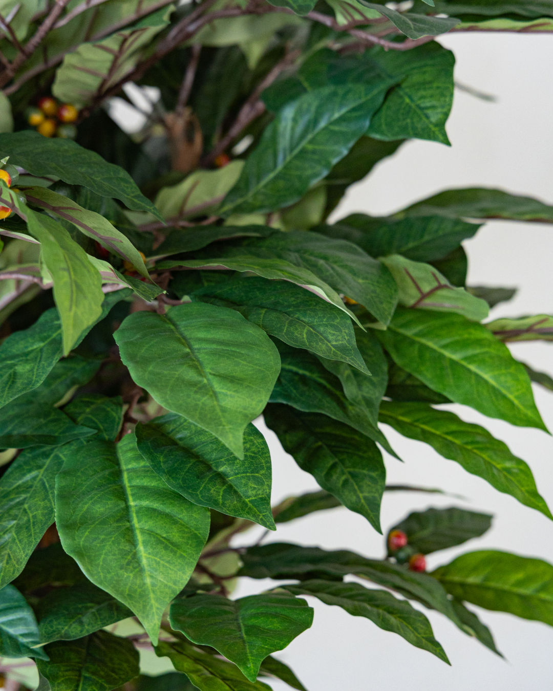 150cm Potted Artificial Coffee Tree