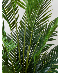 210cm Potted Artificial Palm Tree