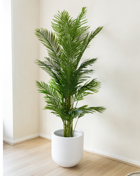 210cm Potted Artificial Palm Tree