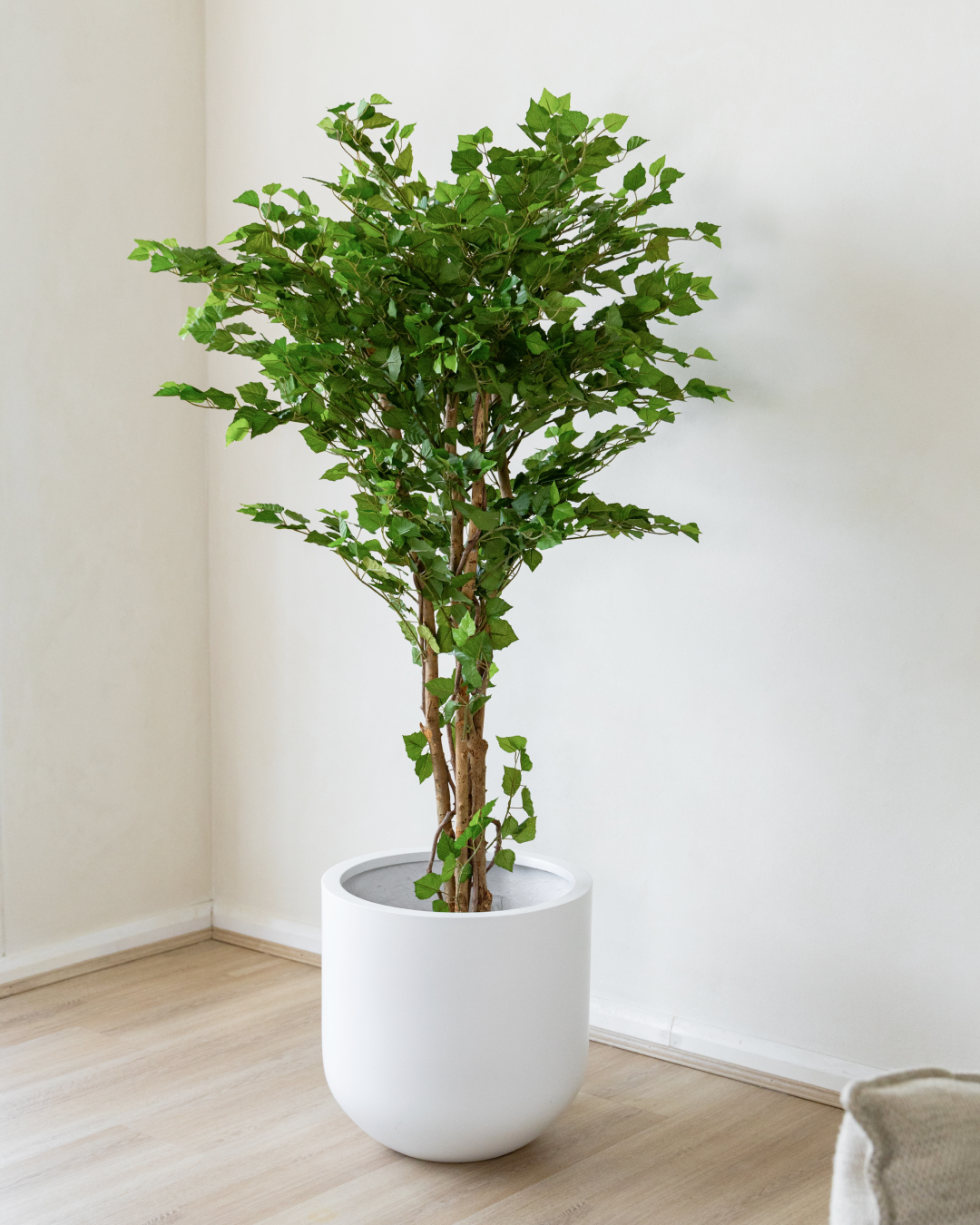 170cm Potted Artificial Birch Tree
