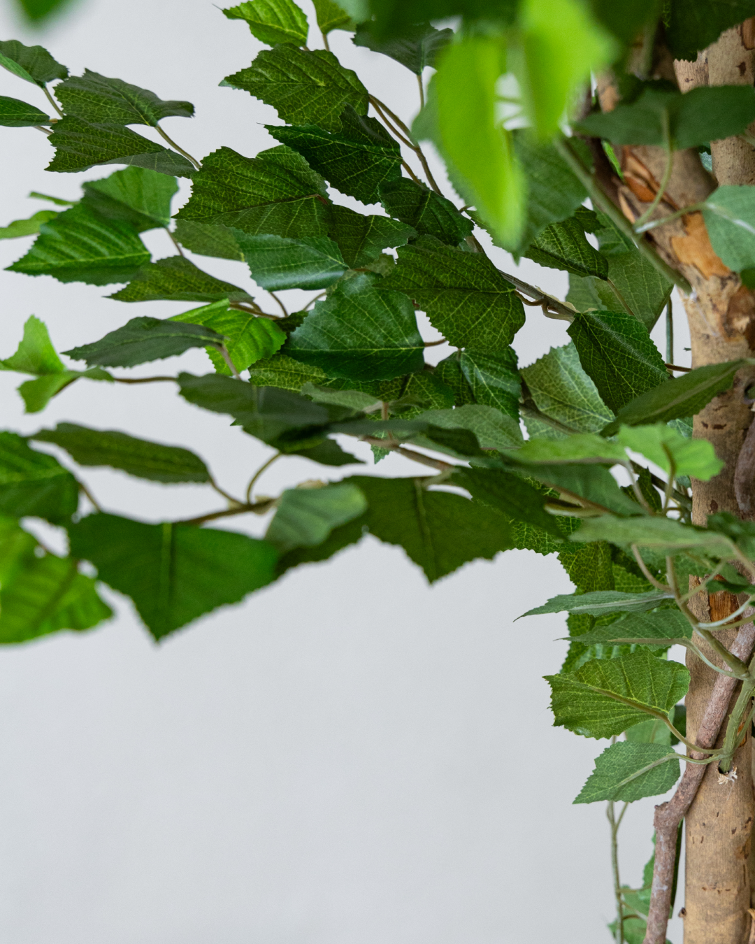 170cm Potted Artificial Birch Tree