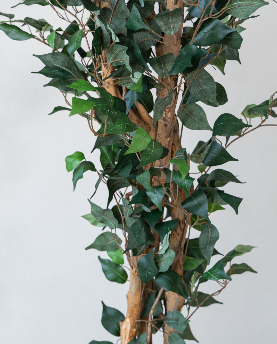 210cm Potted Artificial Ficus Tree