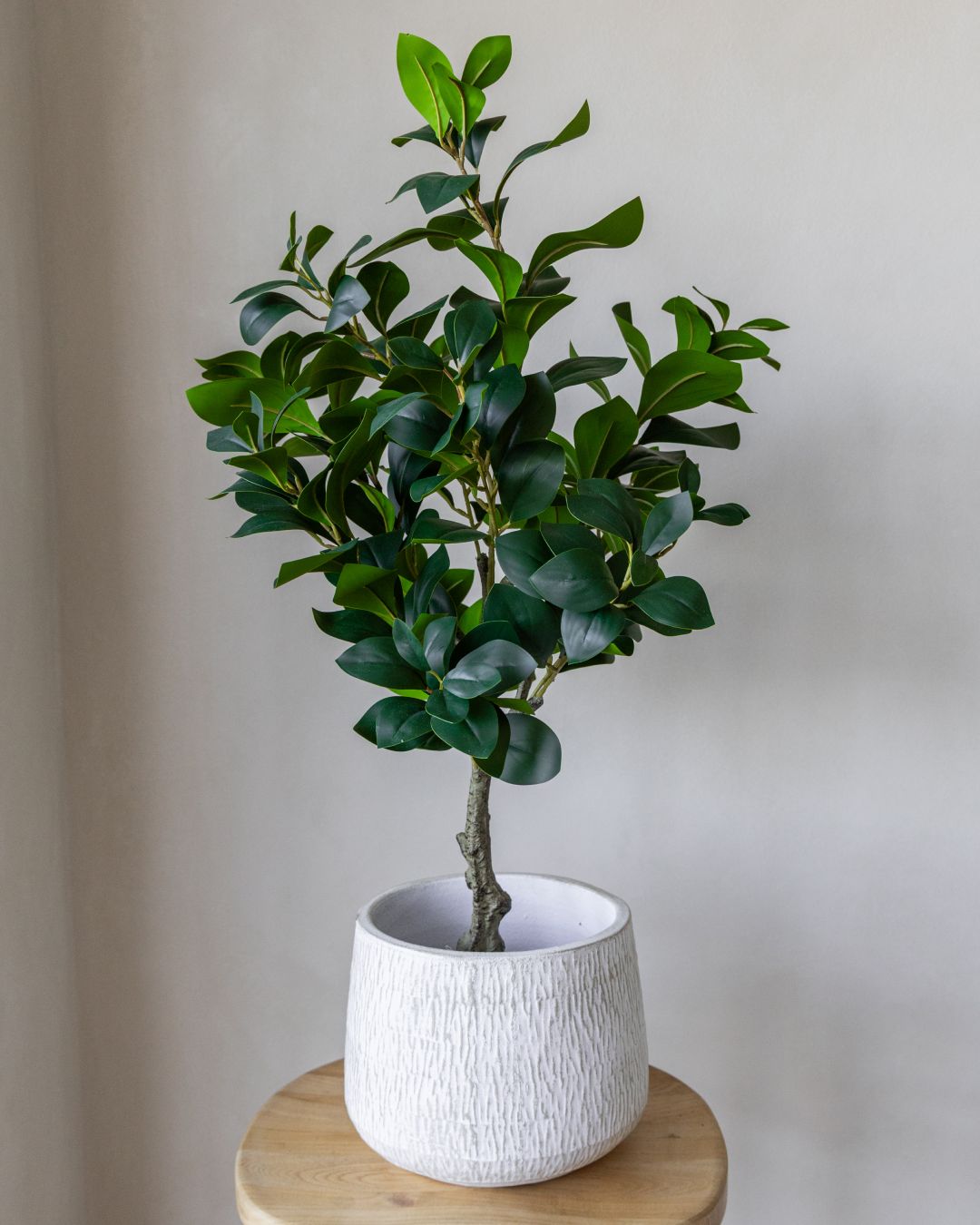 80cm Potted Artificial Peperomia