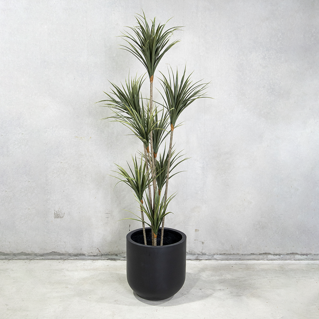160cm Potted Artificial Dracaena