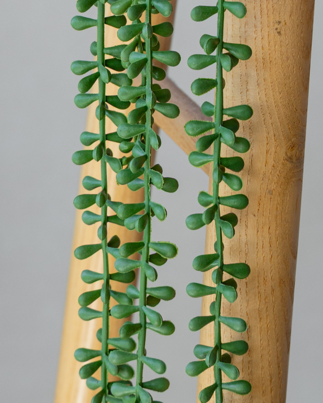 45cm Potted Artificial String of Pearls