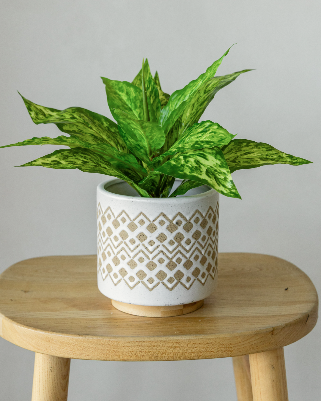 28cm Artificial Evergreen Plant