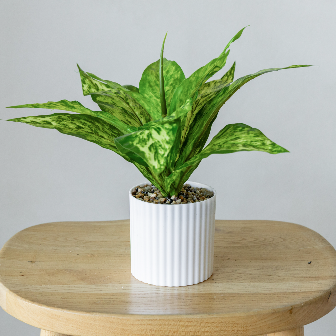 28cm Artificial Evergreen Plant